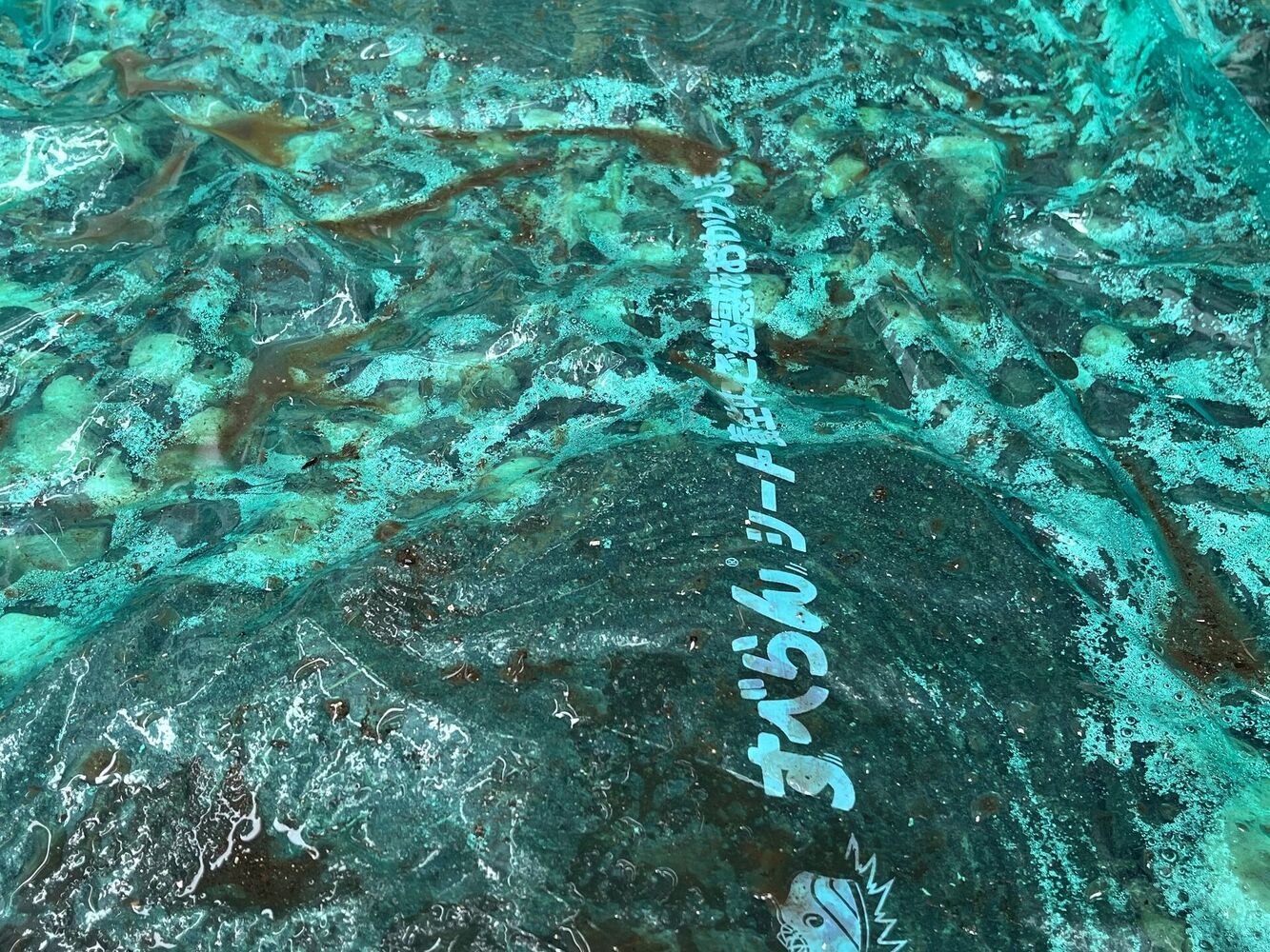 ブログ画像